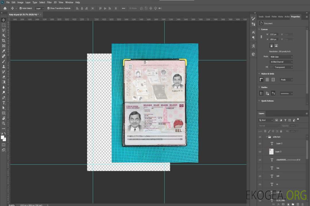 Photolook du passeport belge 2022-présent template Photolook du passeport belge 2022-présent template